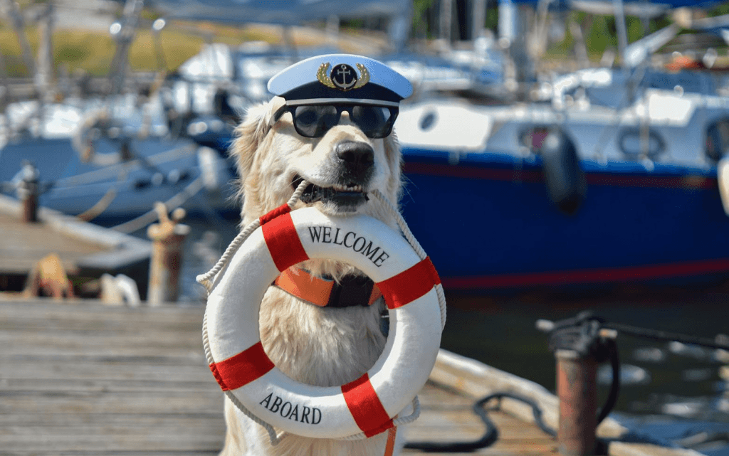 ¿Cómo preparar un crucero con tu perro a bordo?