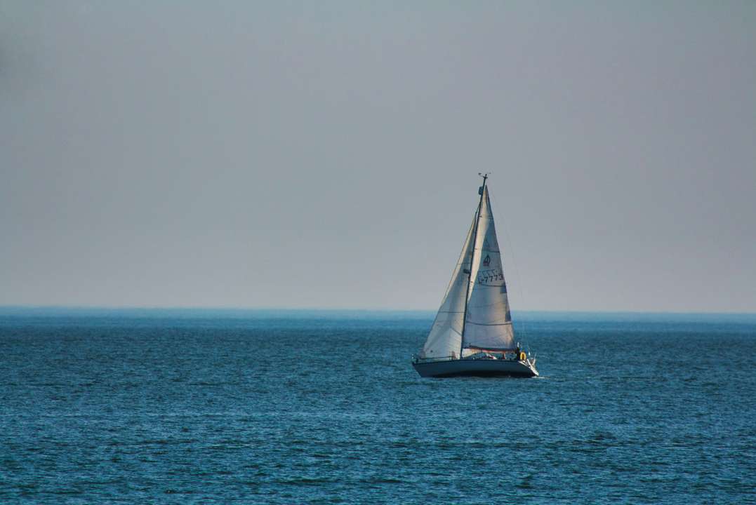 Windy: the weather app for your next sailing trip