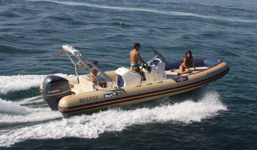 Boat