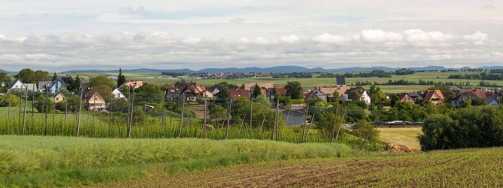Waltenheim-sur-Zorn