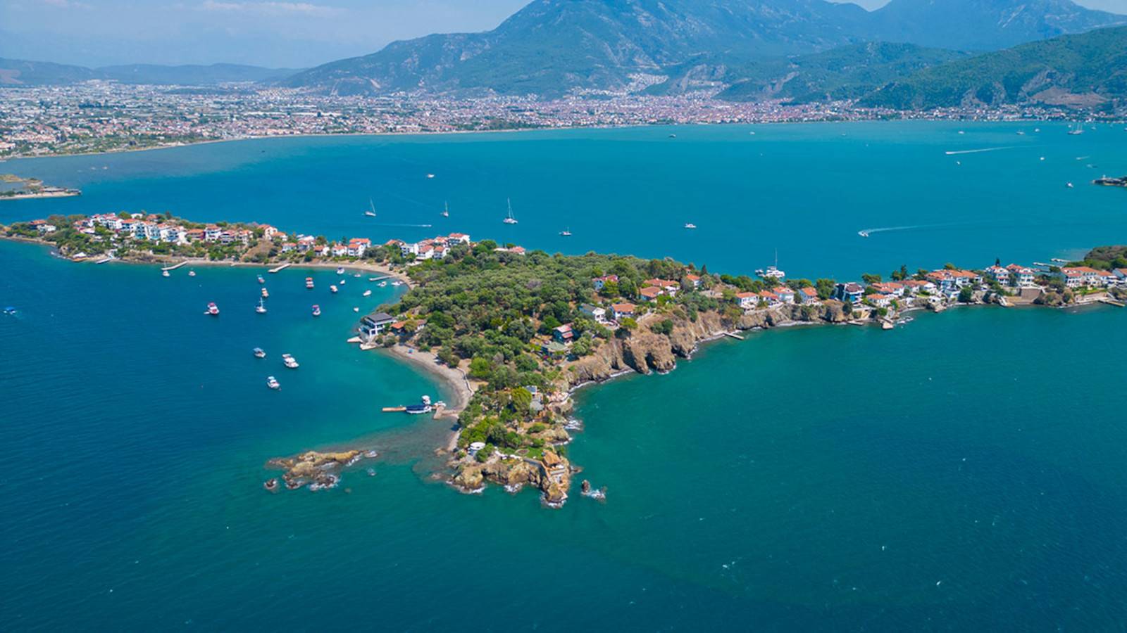 Шевалье Адасы