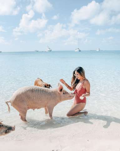 Direction les Exumas pour une croisière de rêve
