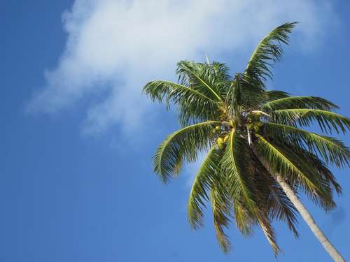 Partez pour une découverte prolongée des Grenadines