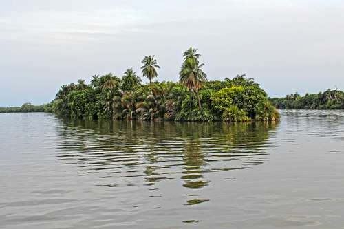 Du Sénégal à la Gambie : une croisière au cœur d’un fleuve mythique