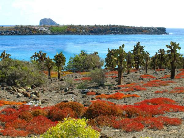 South plaza, l'une des plus petites îles de l'archipel