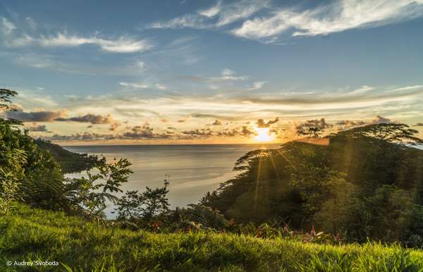 Des paysages paradisiaques