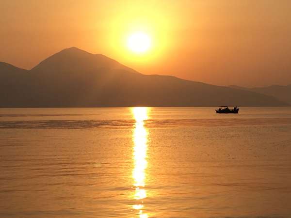 Des paysages aux nuances d'or
