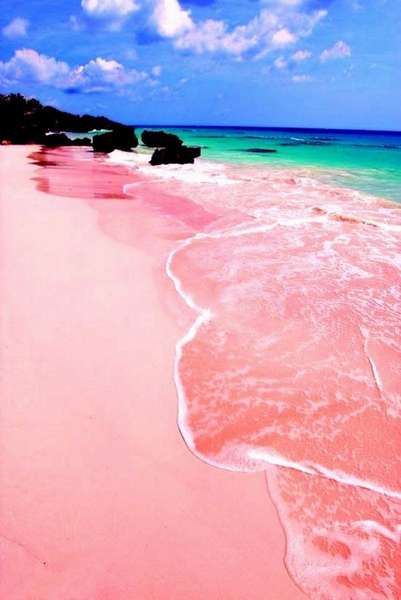 Pink Beach