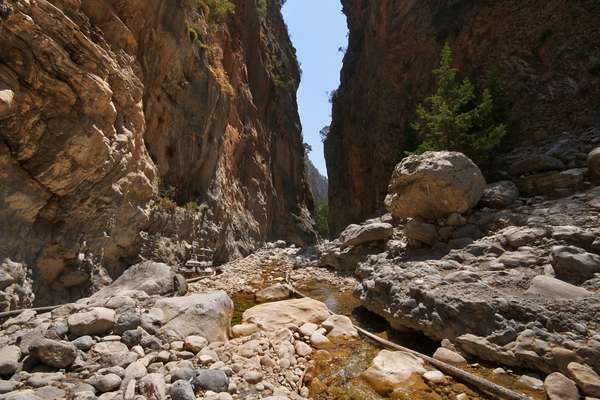 Une excursion au cœur de la nature : les Gorges de Samaria