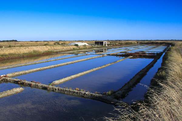 Les marais salans de Noirmoutier