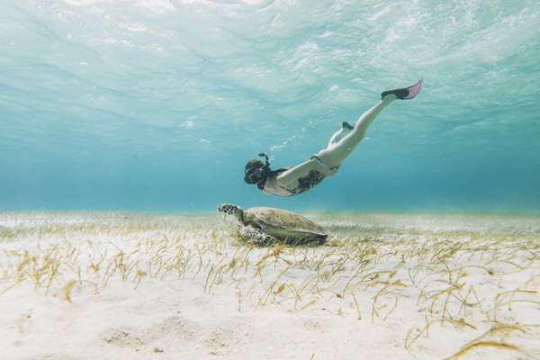 Explorez les fonds marins !
