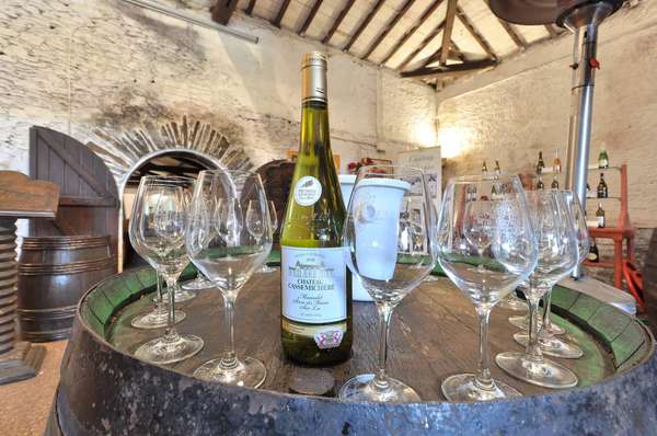 Probieren Sie den Muscadet des Schlosses von Cassemichère