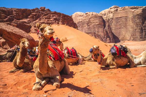 L'impressionante deserto del Wadi Rum