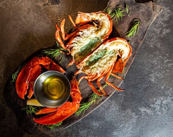 Dégustez les délicieuses langoustes de Centuri