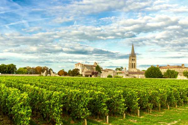 Laissez-vous tenter par les grands crus de la région