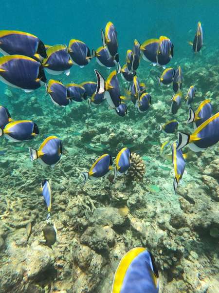 Découvrez la richesse des fonds marins