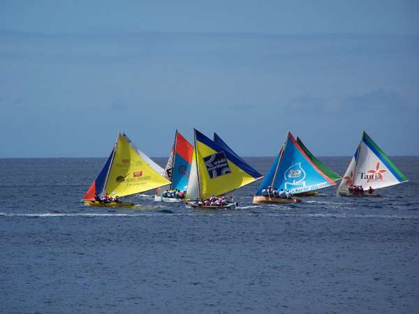 Profitieren Sie von den Windverhältnissen am Meer
