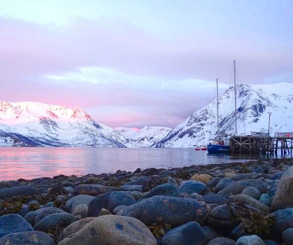 Des couleurs resplendissantes