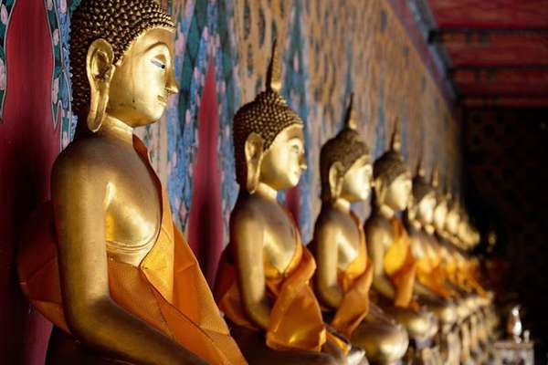 Profitez des excursions pour vous immerger dans la culture asiatique