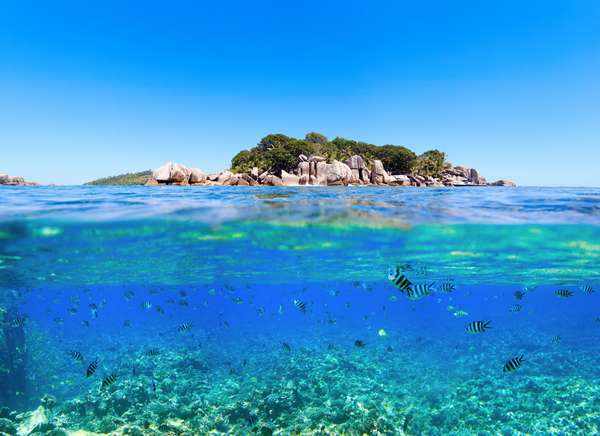 Les Seychelles : un paradis terrestre & maritime