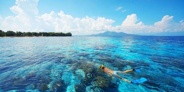 Plongée au cœur des Maldives