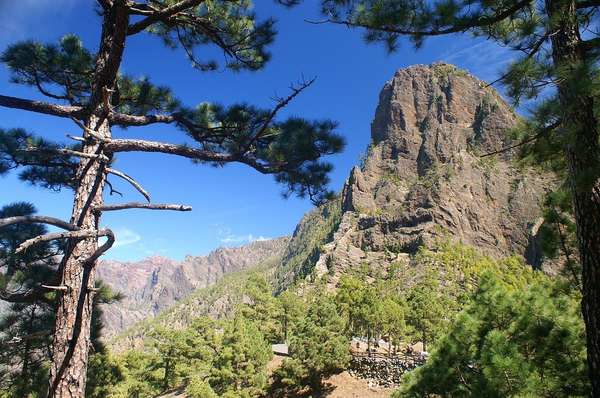 Les montagnes de La Palma