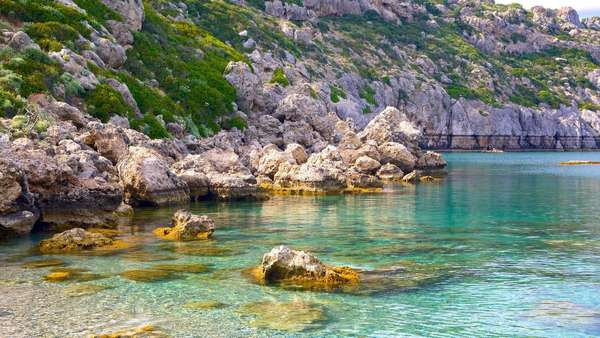 Anthony Quinn Bay