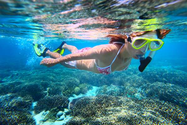 Erkunden Sie den Meeresboden auf der Suche nach exotischen Fischen