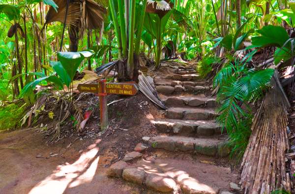 Odkryj Vallée de Mai