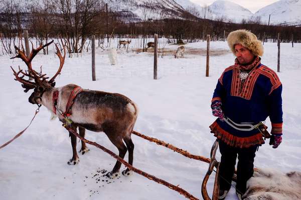 Sami et son renne