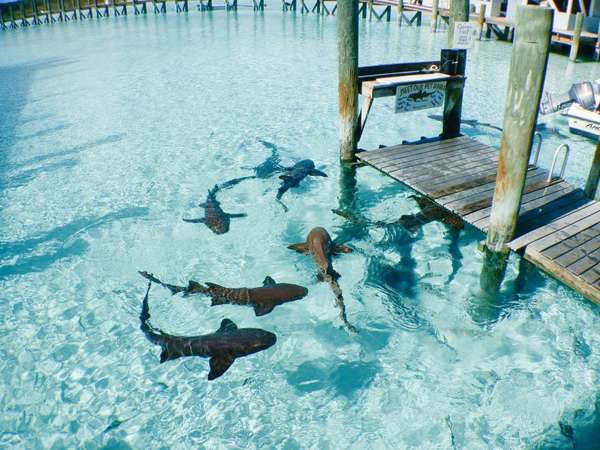 Des vacances les pieds dans l'eau