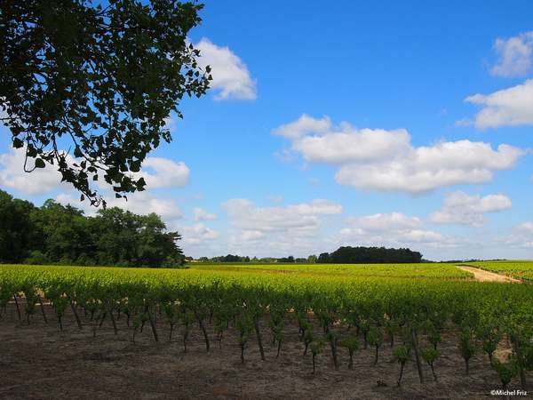 Auf der Spur des Muscadet