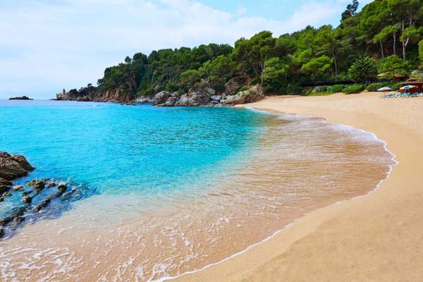 Sessione di snorkeling in acque cristalline