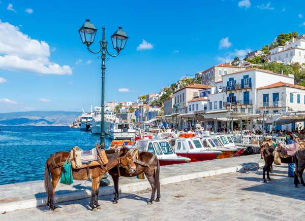 Visit Hydra by foot or by donkey!