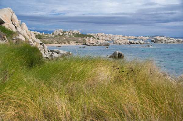 Plongez au milieu des sublimes îles Lavezzi