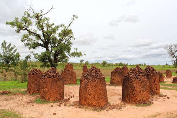 Les célèbres cercles de pierres de Wassu