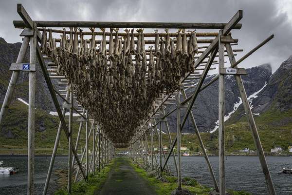 Les inévitables séchoirs à poisson en bois