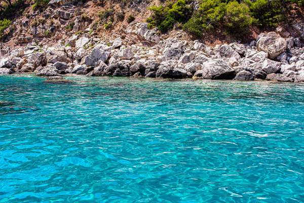 Des baies préservées rien que pour vous !