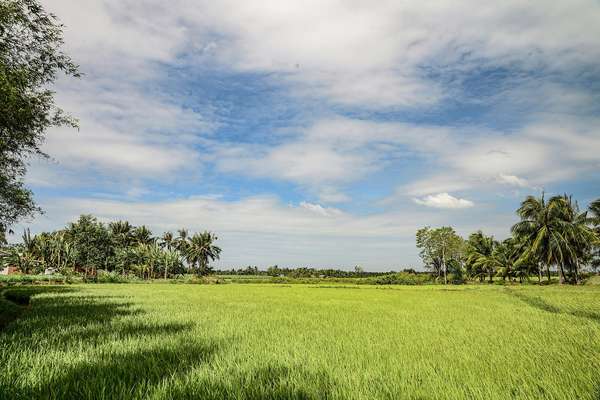 Découvrez la province luxuriante de Bến Tre