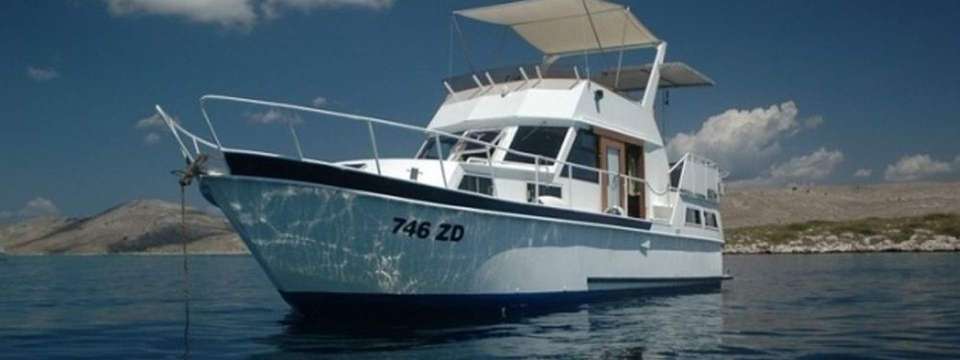 Cruisers 1090