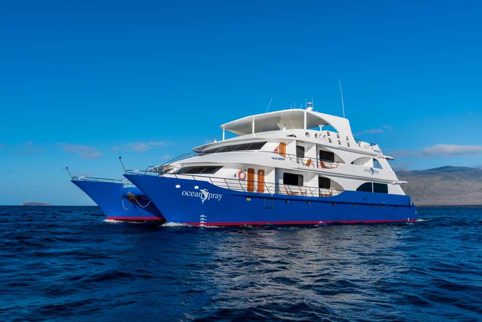 Ocean Spray Custom