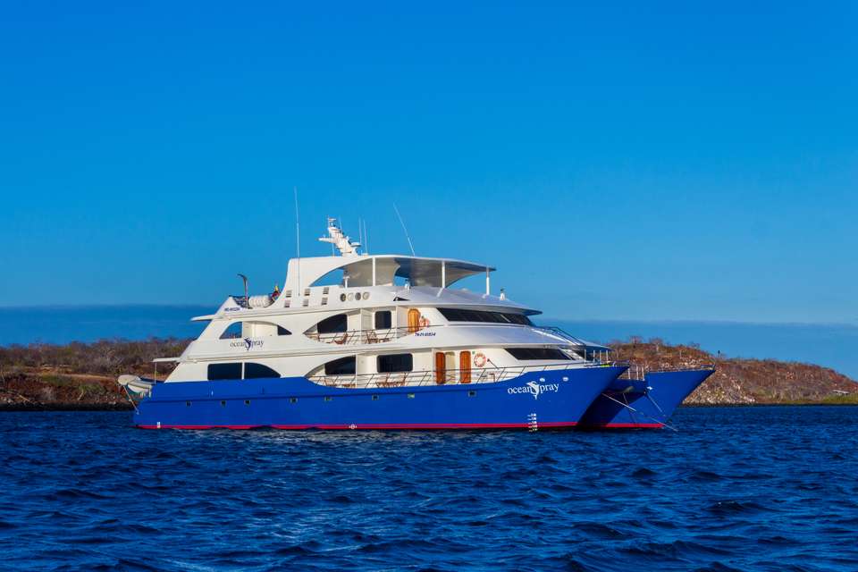 Ocean Spray Custom
