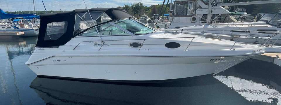 Sea Ray 270