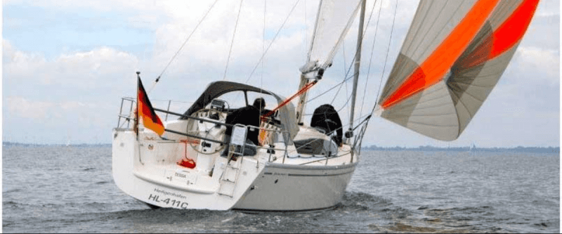Delphia 31