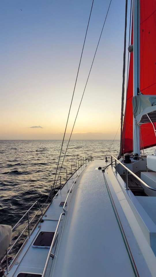 Sunreef 62