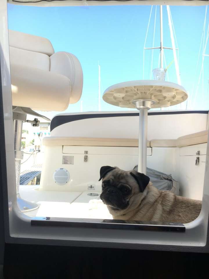 Boat 0