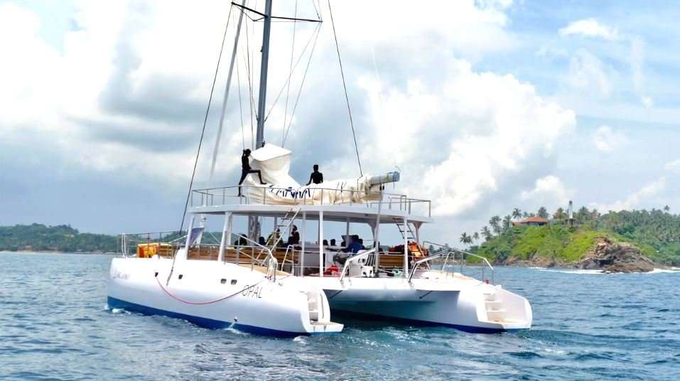 Catamaran Jade (ceycat 53)