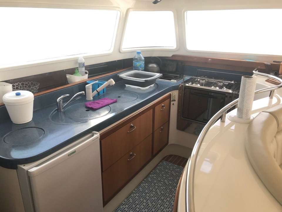 Dolphin 460