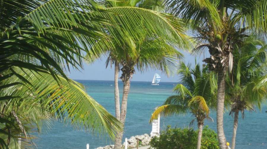 Gib Sea 414