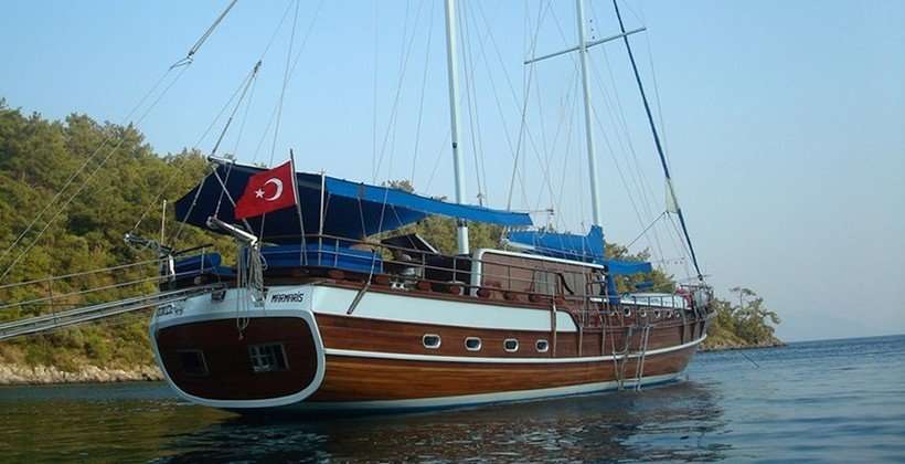Gokce 1